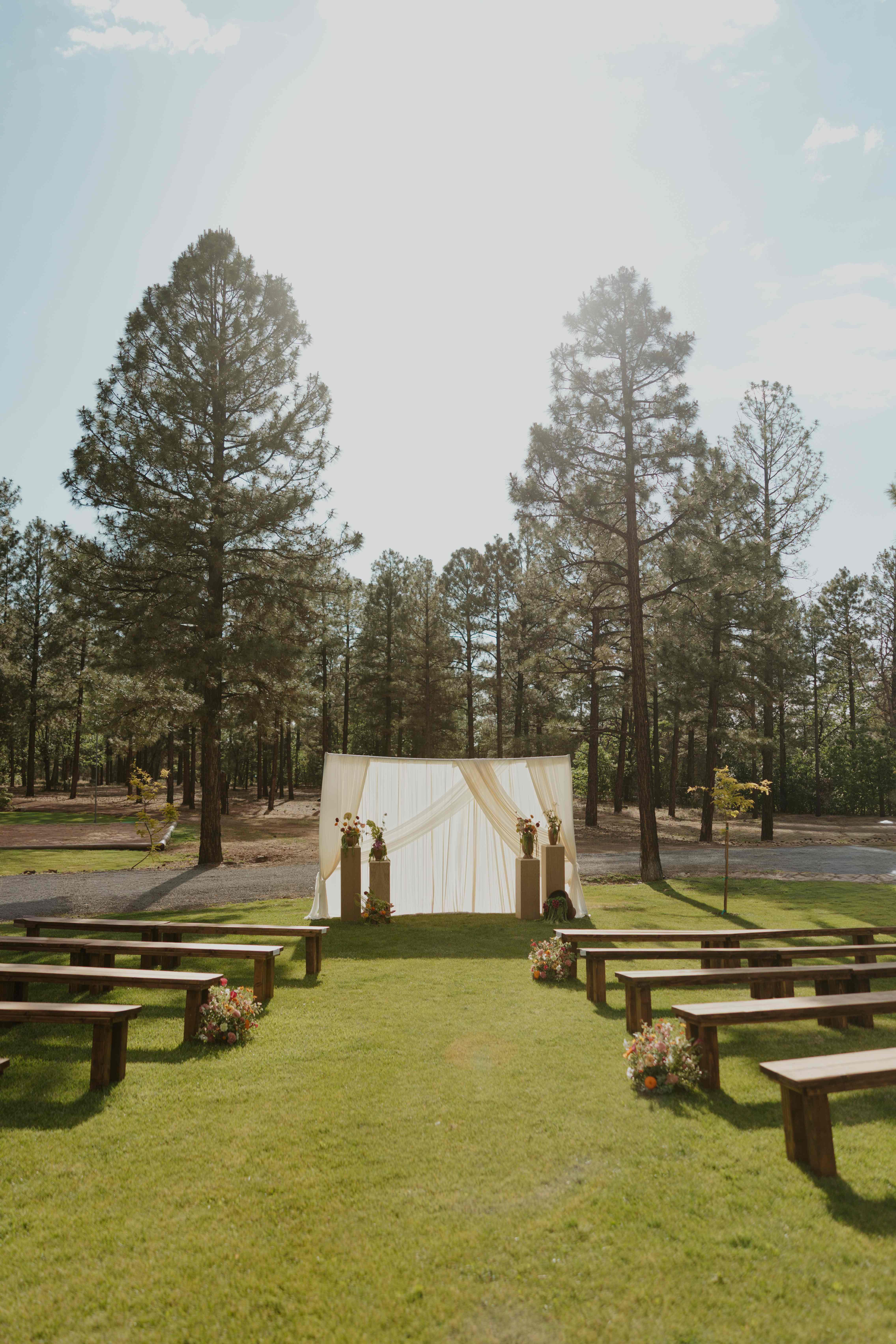 Bright daytime ceremony setup with a white draped backdrop, floral pedestals, and empty benches under towering pines