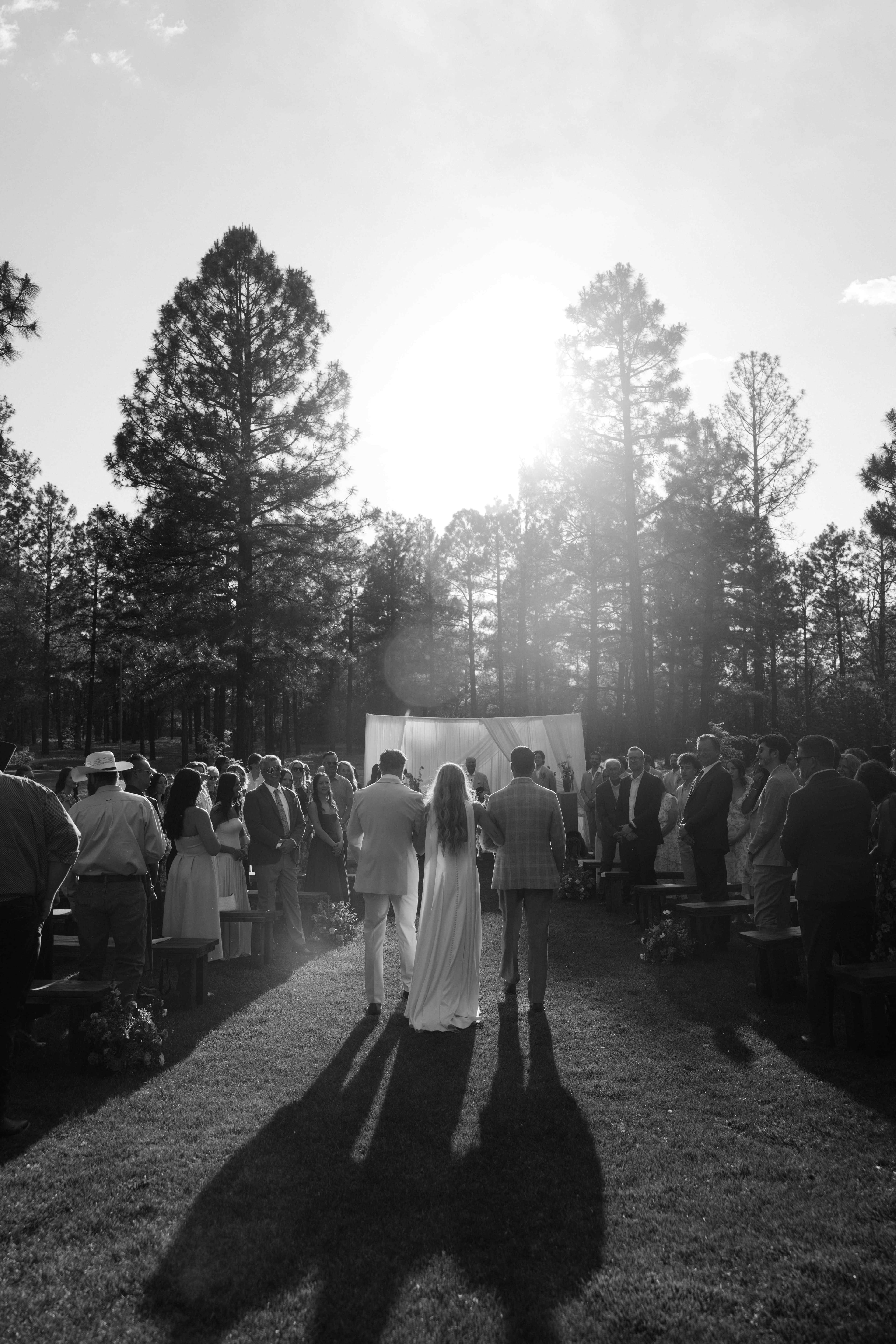 Black-and-white photo of the bride escorted down the aisle toward the ceremony backdrop with sun flaring through the pines