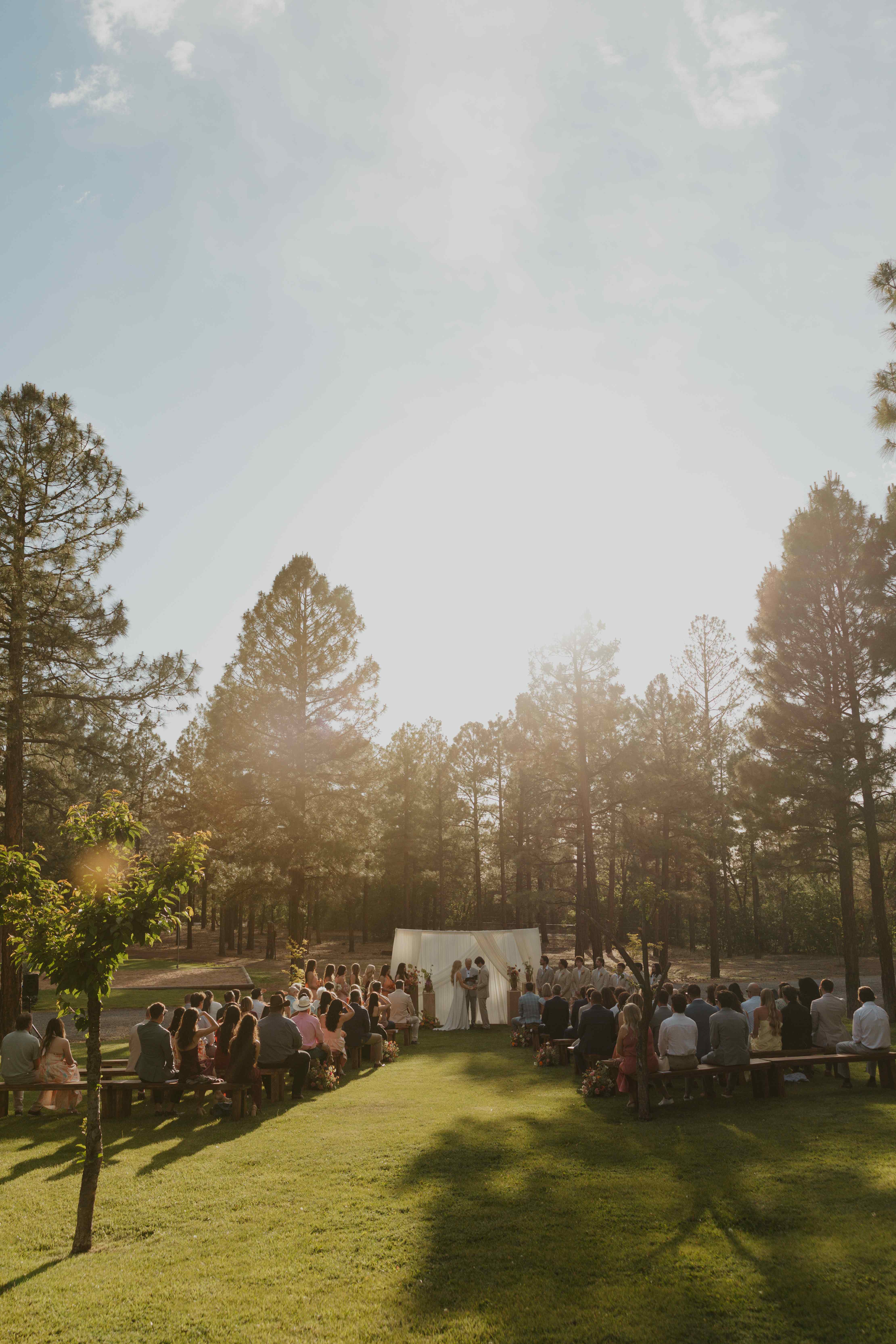 Sunlit wide view of the forest ceremony with guests on benches and the couple at the draped altar
