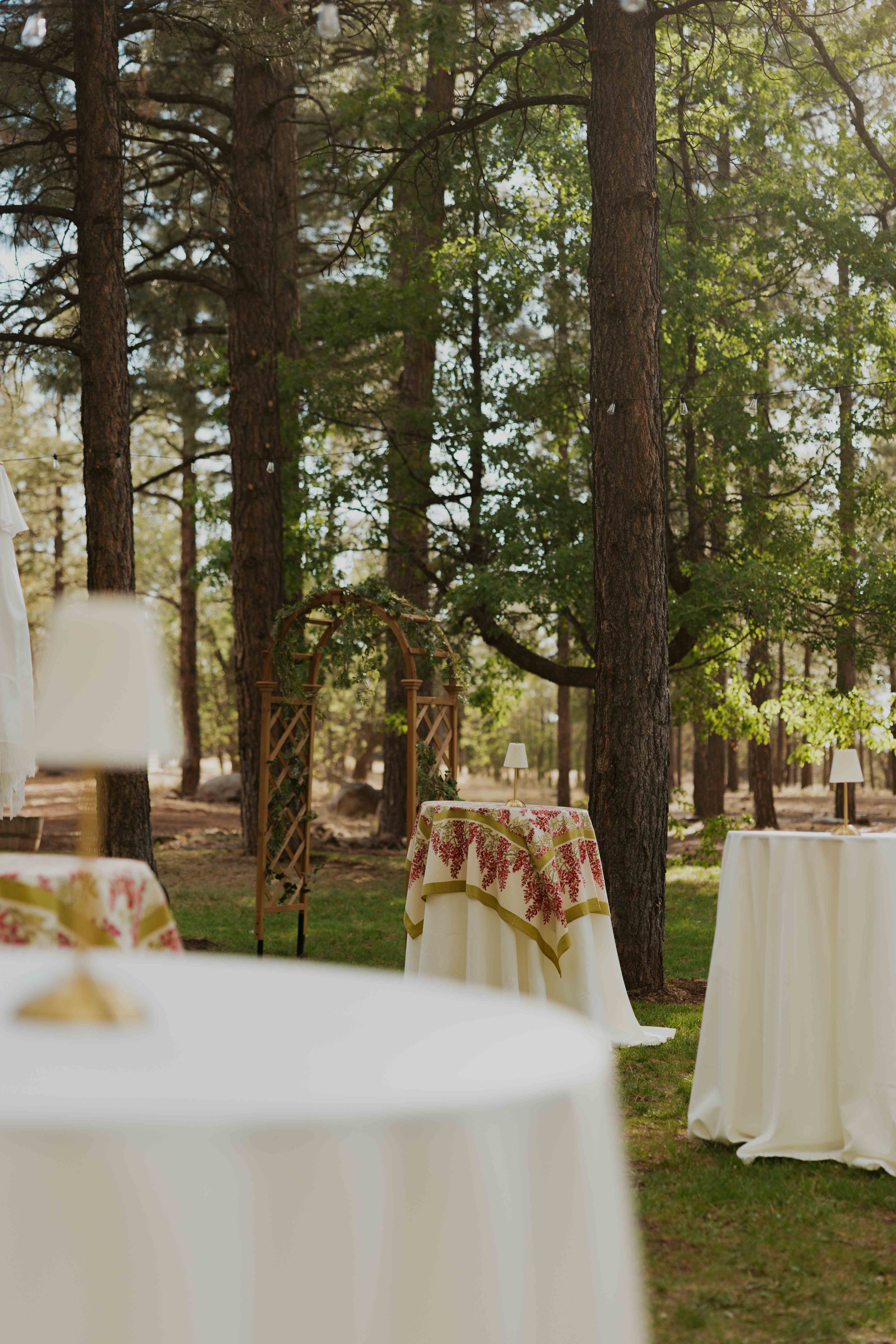 Cocktail tables with red-and-green floral linens and a greenery arbor set among the pines