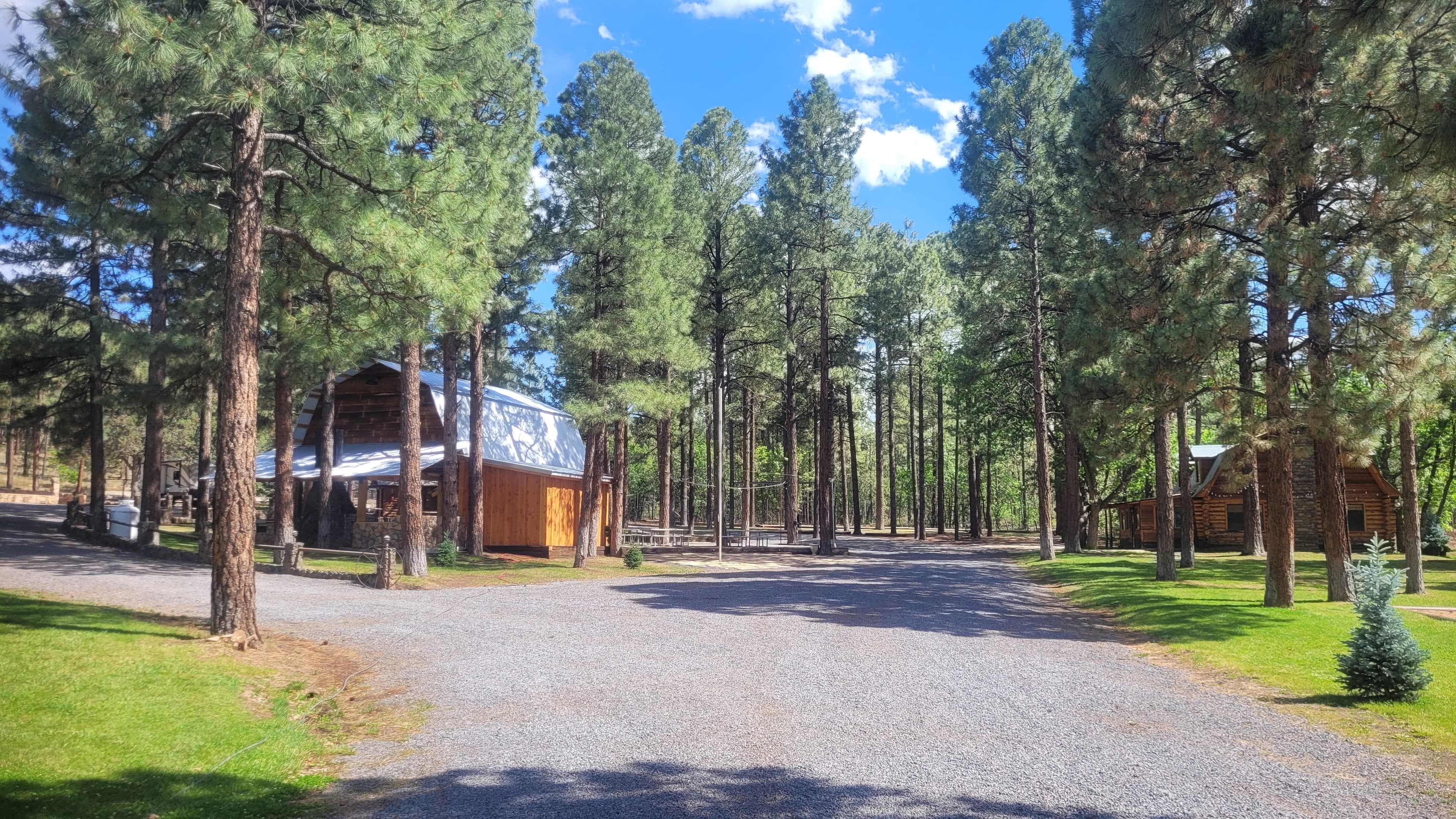 Main gravel driveway of Diamond W Ranch looking toward the ramada barn on the left and the log cabin through the pines on the right under a bright blue sky