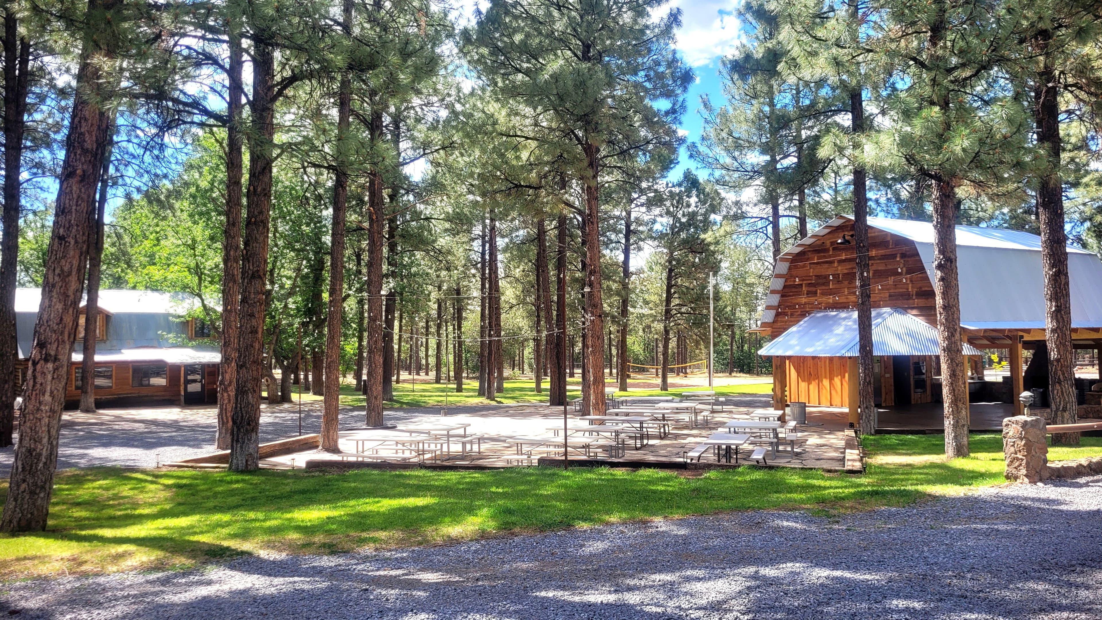 Wide exterior view of the Diamond W ramada complex surrounded by ponderosa pines with picnic tables on the patio